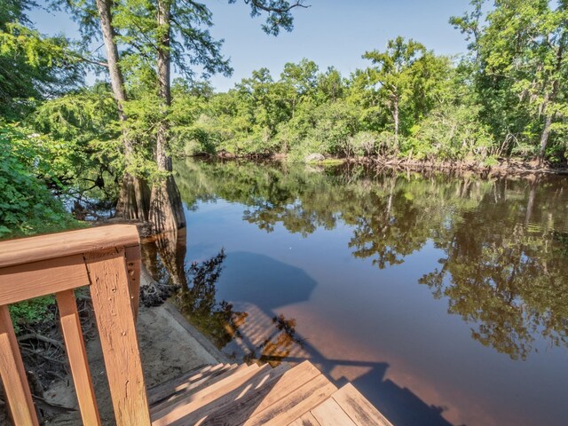 84 N Easy St, Sopchoppy, FL 32358 - photo 16