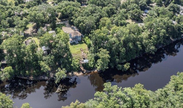 84 N Easy St, Sopchoppy, FL 32358 - photo 11
