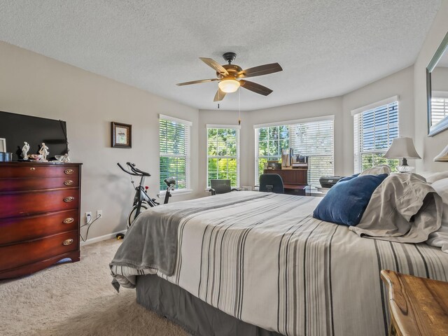 84 N Easy St, Sopchoppy, FL 32358 - photo 42