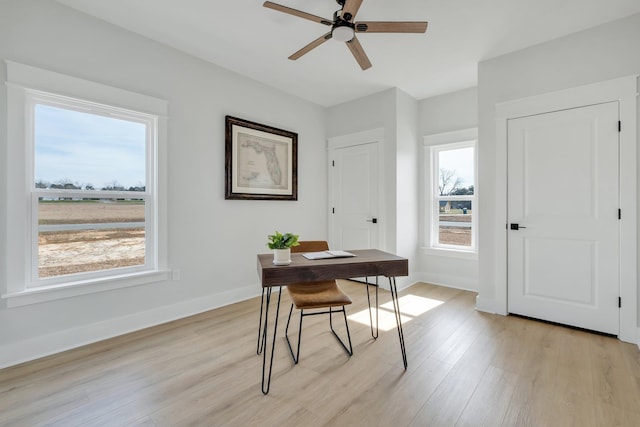 office featuring ceiling fan and light wood-type flooring