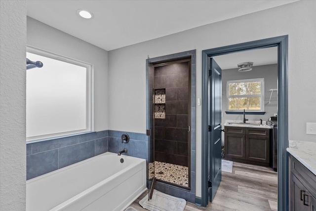 bathroom with wood-type flooring, plus walk in shower, and vanity