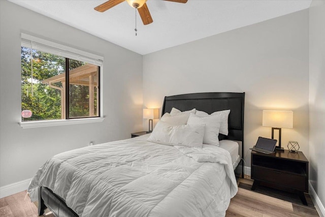 2509 Staghorn Pl, Tallahassee, FL 32301 - photo 22