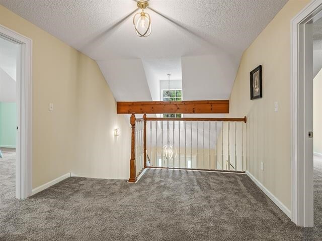 additional living space featuring carpet, a textured ceiling, and vaulted ceiling