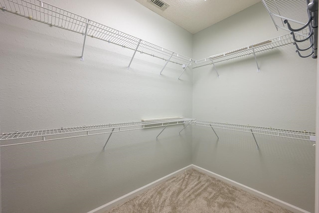 spacious closet featuring carpet floors