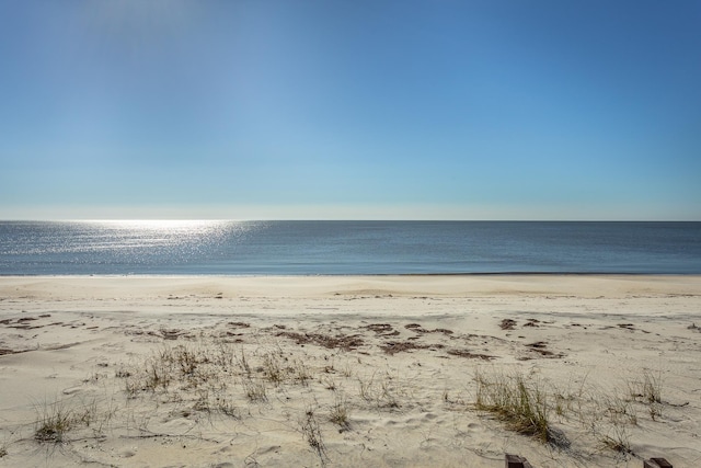 water view featuring a beach view