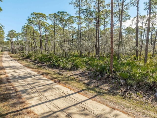 86 Lakeview Dr, Bald Point FL, 32346 land for sale