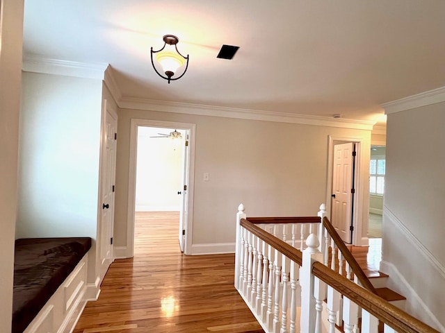 corridor featuring hardwood / wood-style floors and ornamental molding