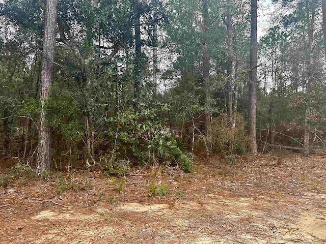 Listing photo 2 for Blountstown Hwy, Leon FL 32310