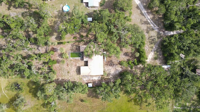 6398 Beach Rd, Perry, FL 32348 - photo 29