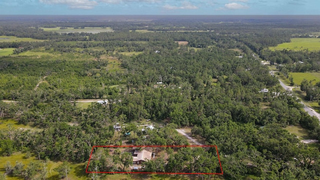 6398 Beach Rd, Perry, FL 32348 - photo 33