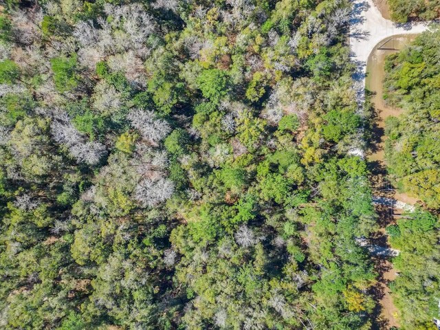 0 Parramore Shores Rd, Tallahassee, FL 32310