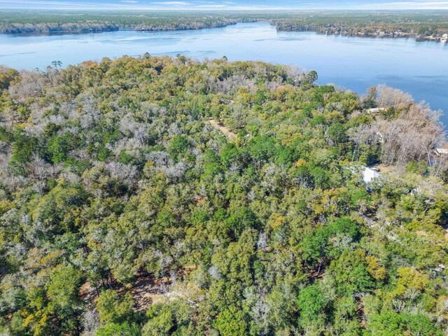 0 Parramore Shores Rd, Tallahassee, FL 32310