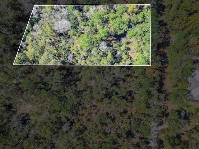 0 Parramore Shores Rd, Tallahassee, FL 32310