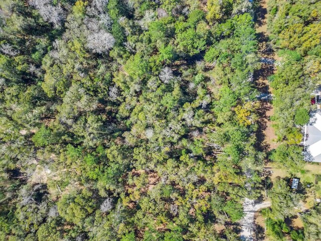 0 Parramore Shores Rd, Tallahassee, FL 32310