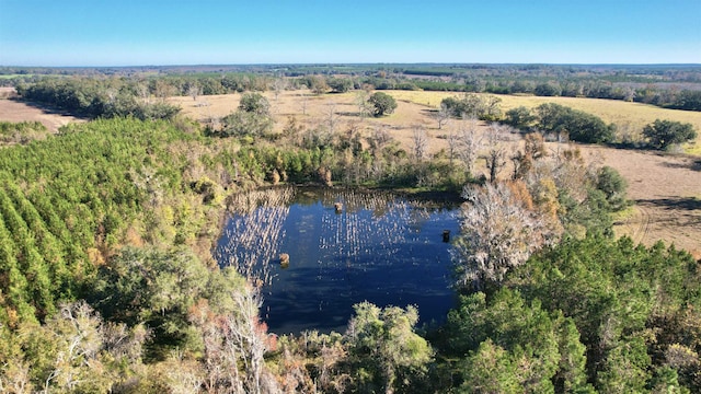 Listing photo 2 for Bassett Dairy Rd, Monticello FL 32344