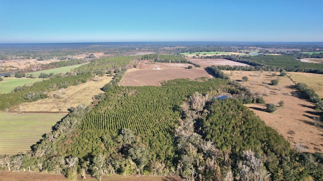 Bassett Dairy Rd, Monticello FL, 32344 land for sale