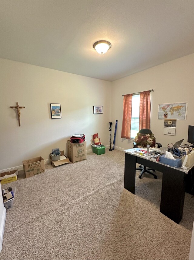 63 Windsor Way, Crawfordville, FL 32327 - office space with carpet flooring and baseboards