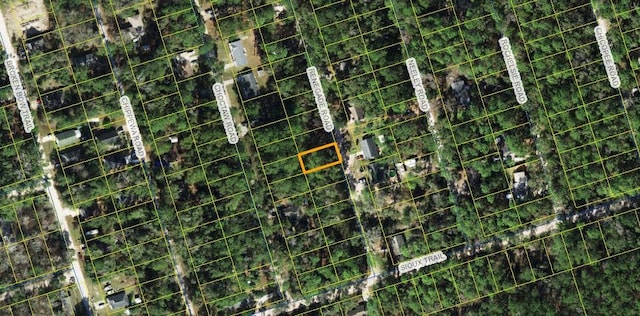 X Renegade Rd, Crawfordville FL, 32327 land for sale