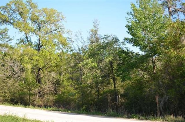 TBD E Royal Oak Dr, Keaton Beach, FL 32348