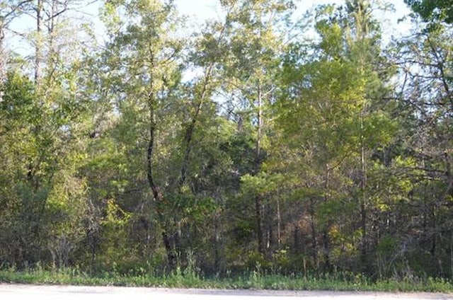 TBD E Royal Oak Dr, Keaton Beach, FL 32348
