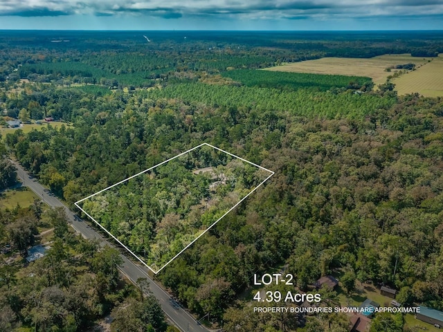 860 Rehwinkel Rd, Crawfordville, FL 32327 - photo 9