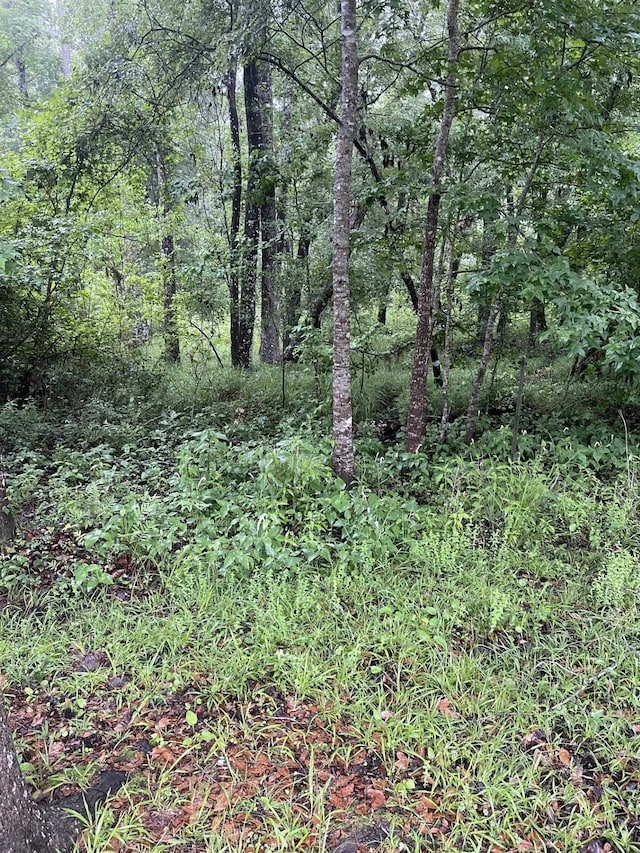 0 SE Kachina, Lee, FL 32059 - photo 1