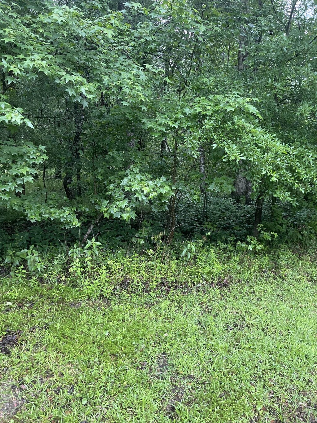 0 SE Kachina, Lee, FL 32059 - photo 2
