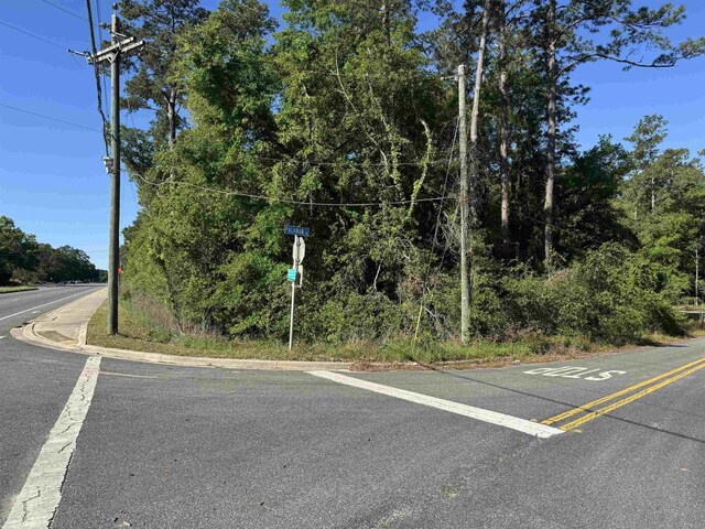Palawan Rd, Tallahassee, FL 32305 - photo 11