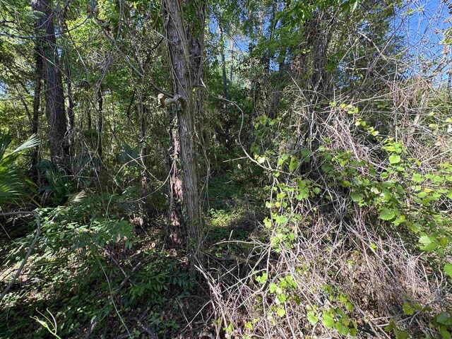 Palawan Rd, Tallahassee, FL 32305 - photo 5
