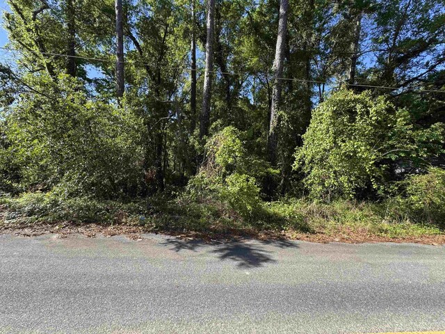 Palawan Rd, Tallahassee, FL 32305 - photo 10
