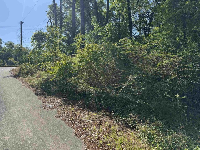 Palawan Rd, Tallahassee, FL 32305 - photo 9
