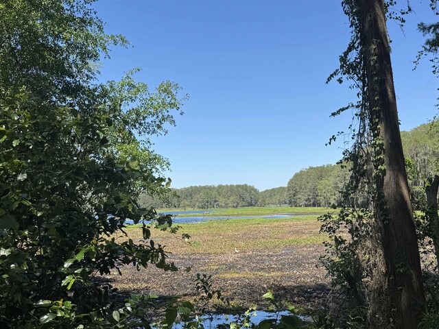 Palawan Rd, Tallahassee, FL 32305 - photo 14
