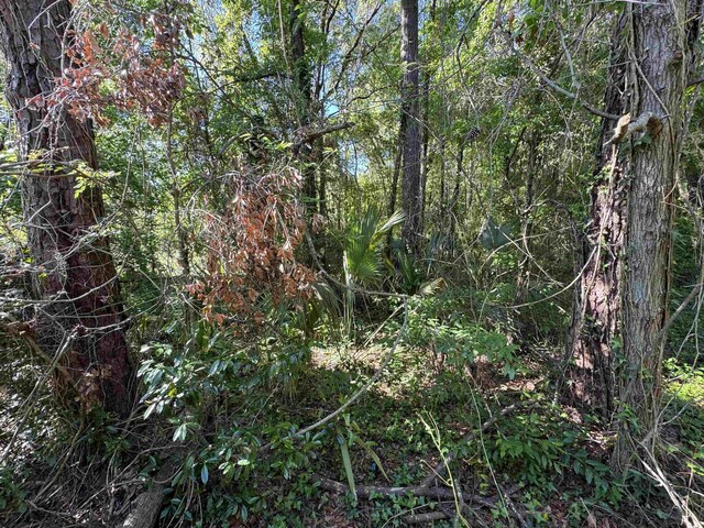 Palawan Rd, Tallahassee, FL 32305 - photo 3