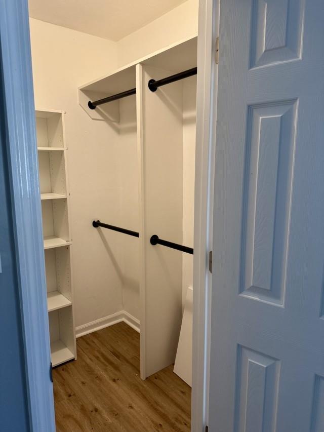 walk in closet with dark hardwood / wood-style floors