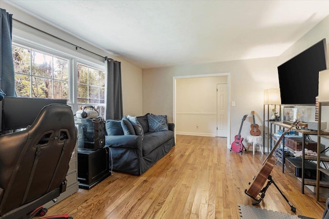 living room featuring light hardwood / wood-style flooring