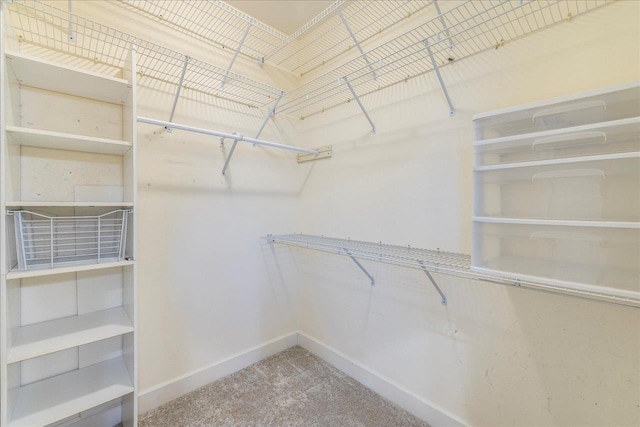 spacious closet with carpet floors