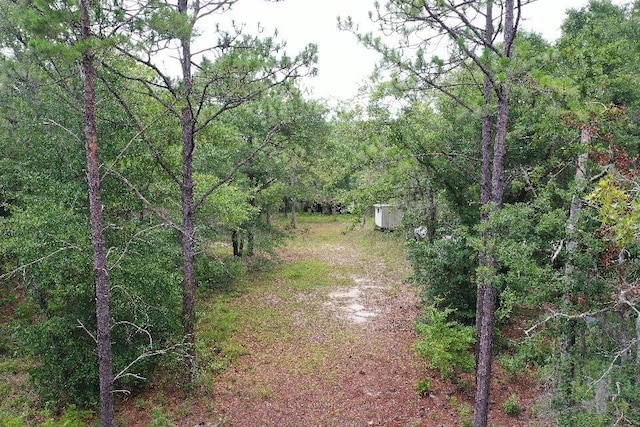 45 Old Federal Rd, Quincy, FL 32351 - photo 7