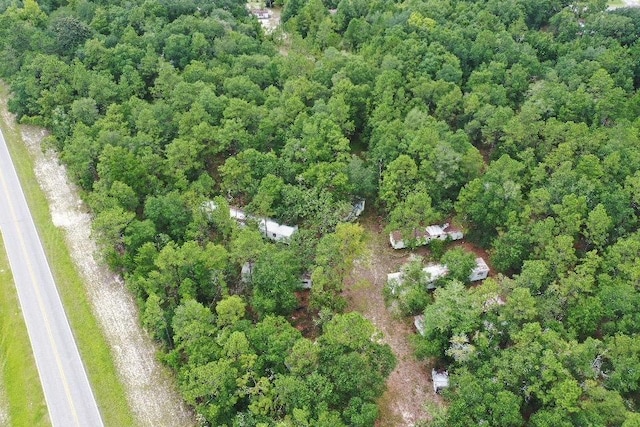 45 Old Federal Rd, Quincy, FL 32351 - photo 6
