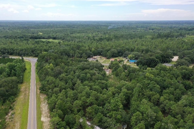 45 Old Federal Rd, Quincy, FL 32351 - photo 18