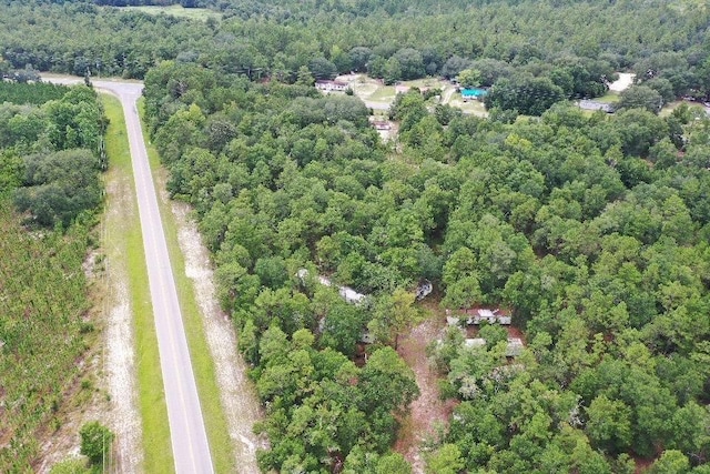45 Old Federal Rd, Quincy, FL 32351 - photo 4