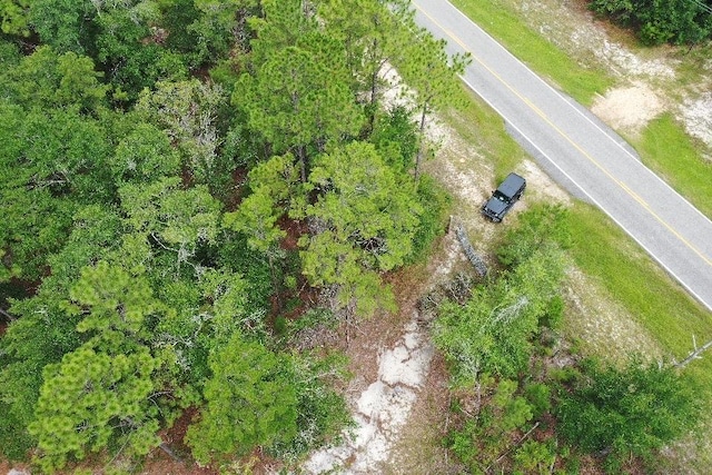 45 Old Federal Rd, Quincy, FL 32351 - photo 2