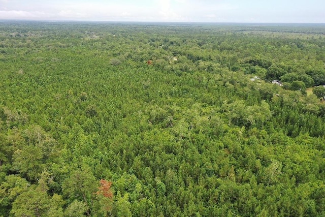 45 Old Federal Rd, Quincy, FL 32351 - photo 11