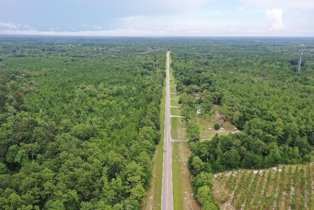 45 Old Federal Rd, Quincy, FL 32351 - photo 12