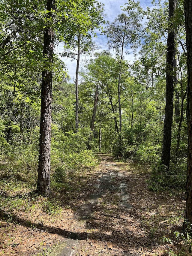 45 Old Federal Rd, Quincy, FL 32351 - photo 24