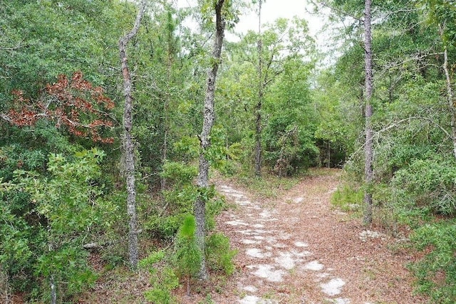 45 Old Federal Rd, Quincy, FL 32351 - photo 14