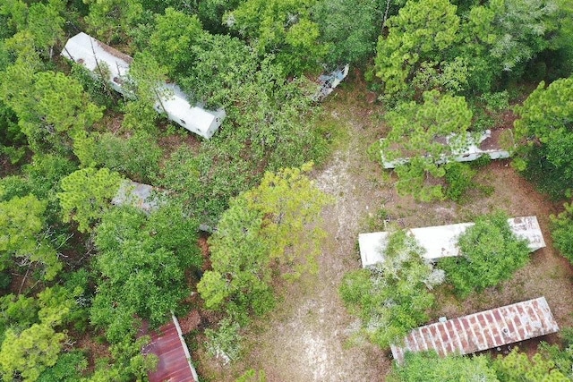 45 Old Federal Rd, Quincy, FL 32351 - photo 13