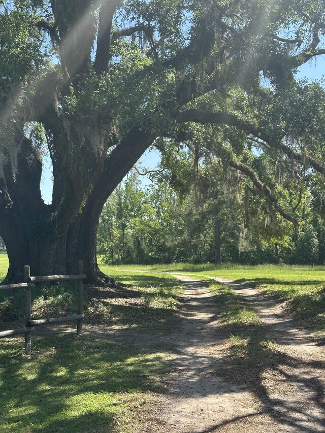 3282 NW US-221 Hwy, Greenville, FL 32331 - photo 4