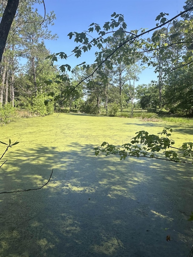 3282 NW US-221 Hwy, Greenville, FL 32331 - photo 19