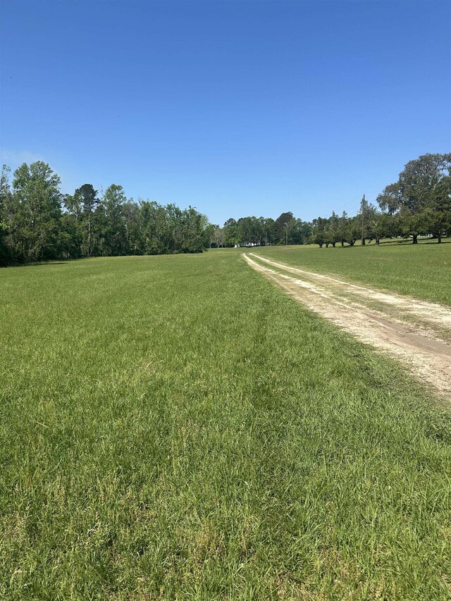 3282 NW US-221 Hwy, Greenville, FL 32331 - photo 5