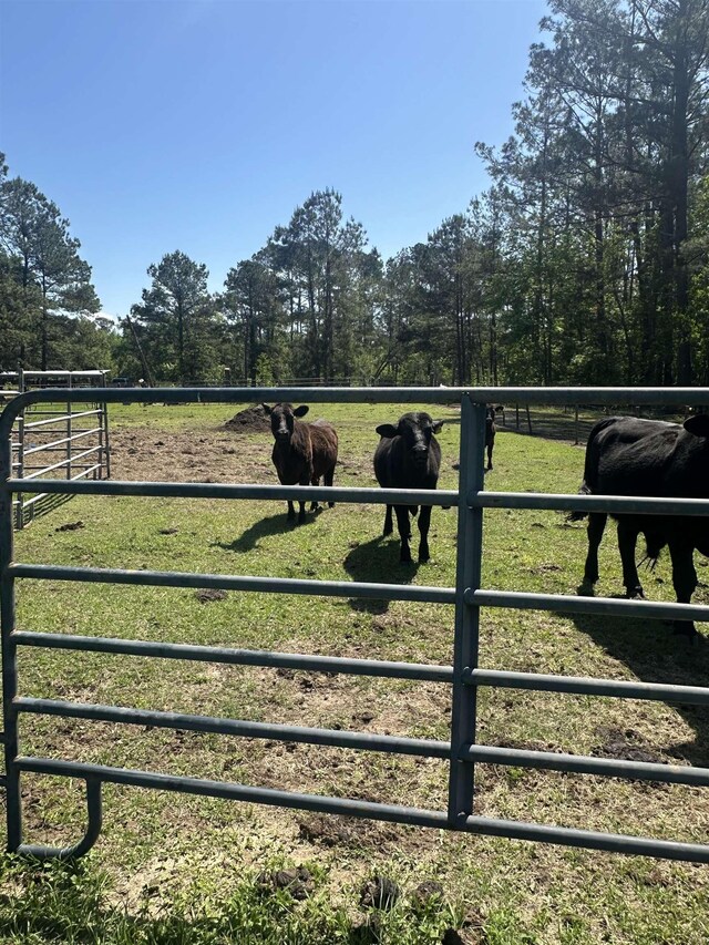 3282 NW US-221 Hwy, Greenville, FL 32331 - photo 11